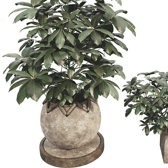 48-Piece Umbrella Tree Plant Collection 3D model image 4