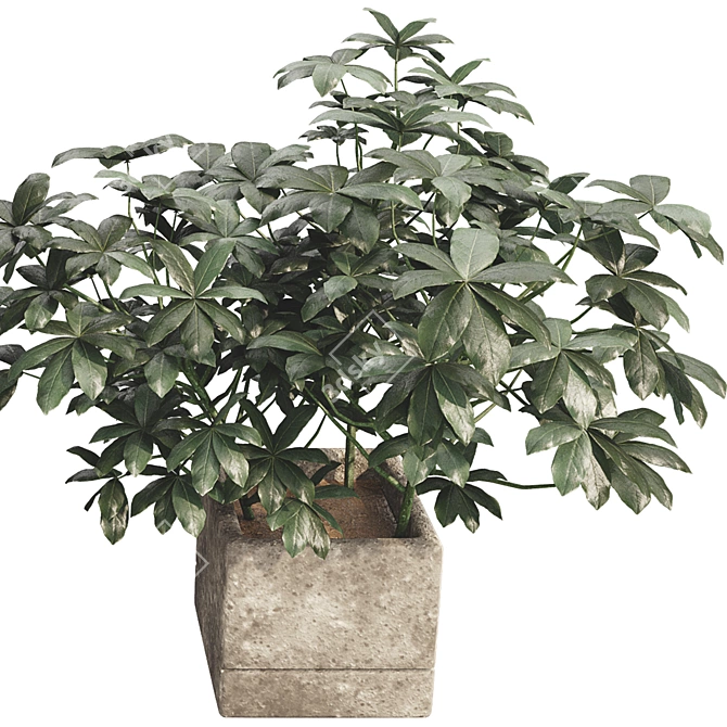 48-Piece Umbrella Tree Plant Collection 3D model image 6