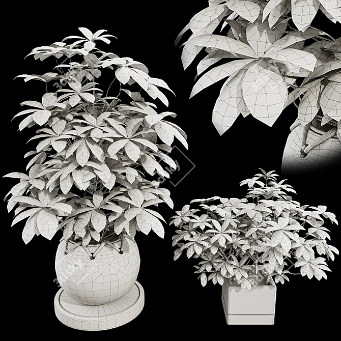 48-Piece Umbrella Tree Plant Collection 3D model image 7