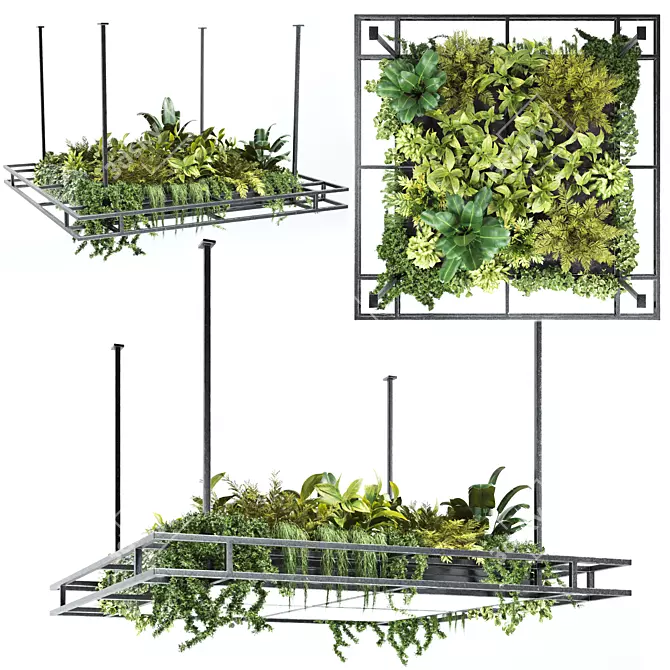 Variety Hanging Plant Set 3D model image 1