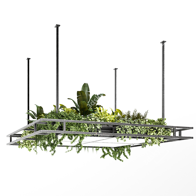 Variety Hanging Plant Set 3D model image 3