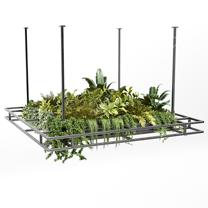 Variety Hanging Plant Set 3D model image 4