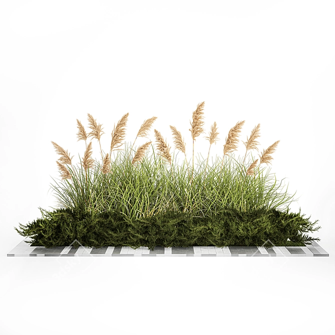 Urban Greenscape Plant Collection 3D model image 3