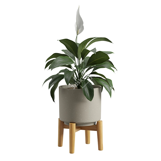 Tropical Peace Lily Potted Green 3D model image 4