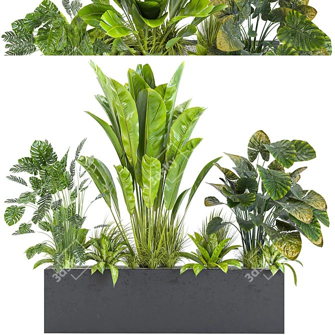 Diverse Indoor/Outdoor Plant Collection 3D model image 2