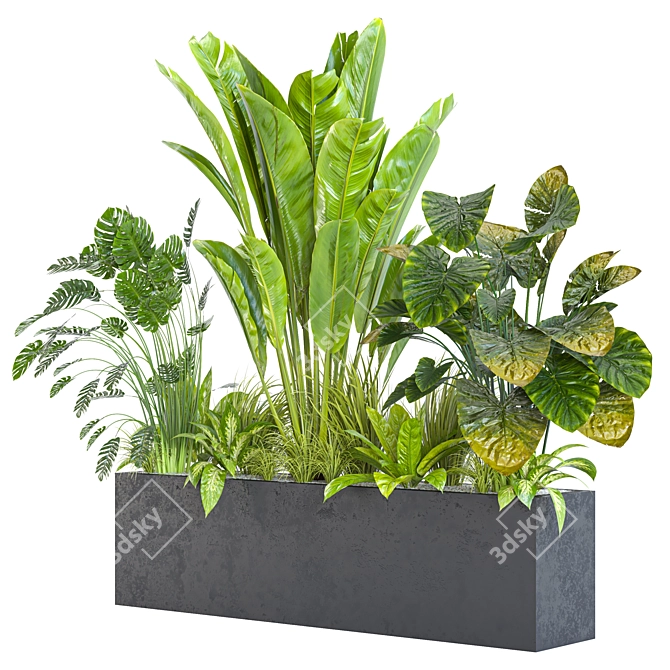 Diverse Indoor/Outdoor Plant Collection 3D model image 3