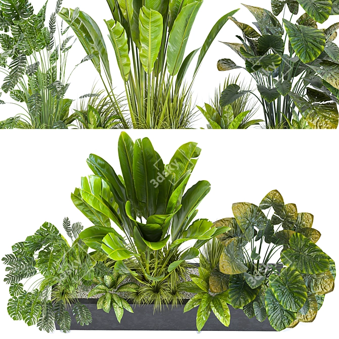 Diverse Indoor/Outdoor Plant Collection 3D model image 4