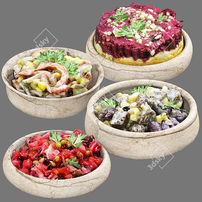 Assorted Veggie Salads Kit 3D model image 1