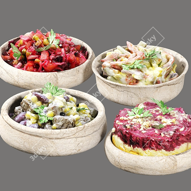 Assorted Veggie Salads Kit 3D model image 2