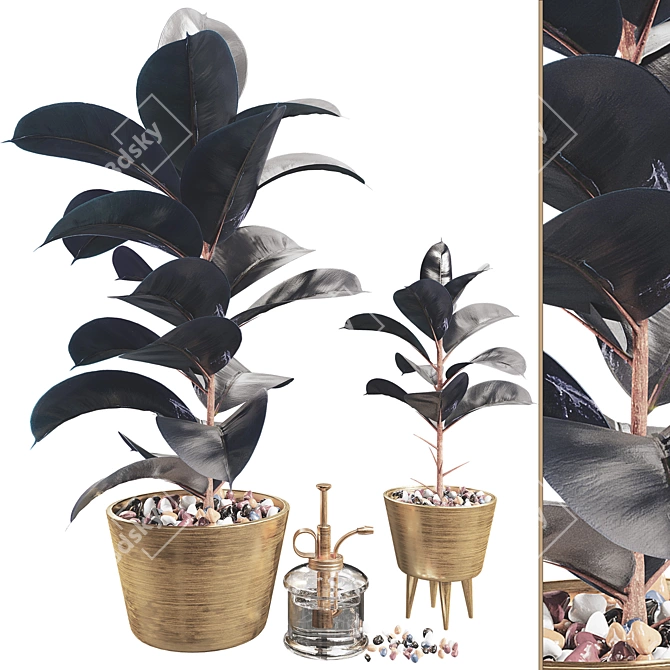 Dark Ficus Elastica Plant Model 3D model image 1