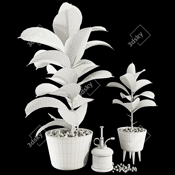 Dark Ficus Elastica Plant Model 3D model image 7