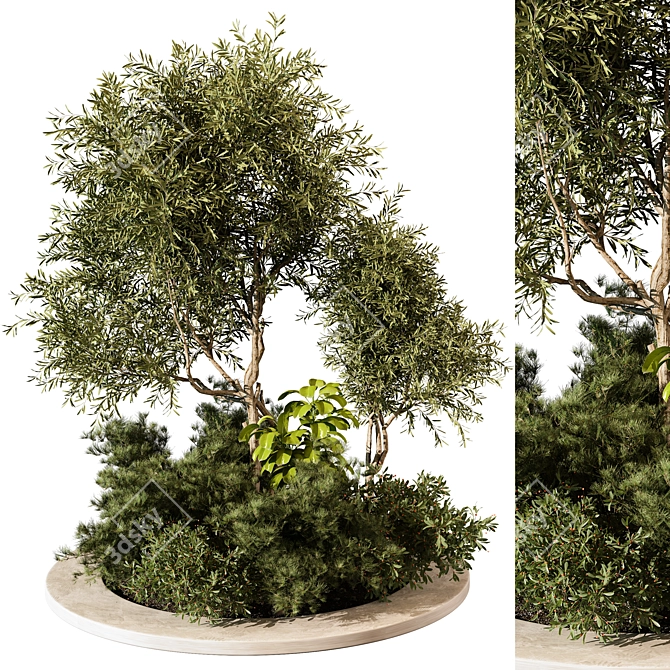 Lush Outdoor Plant 204 Display 3D model image 1