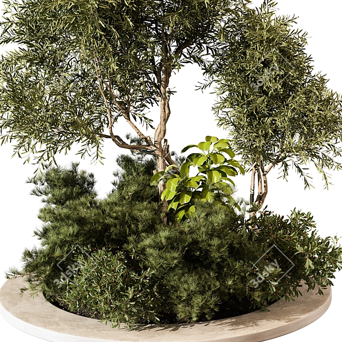 Lush Outdoor Plant 204 Display 3D model image 2