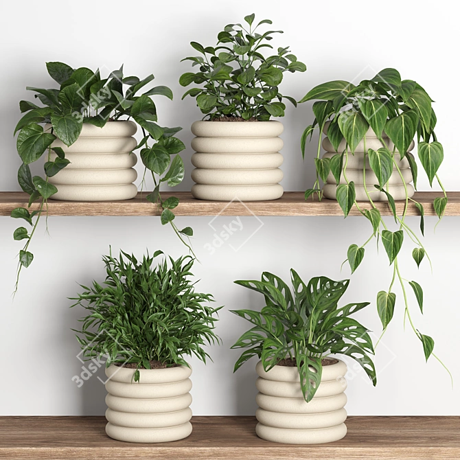 PBR Shelf 06 Plants Display 3D model image 1