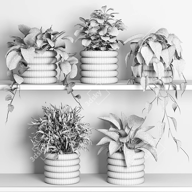 PBR Shelf 06 Plants Display 3D model image 2