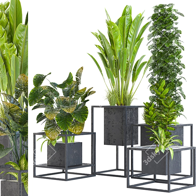 Variety Indoor/Outdoor Plant Collection 3D model image 4