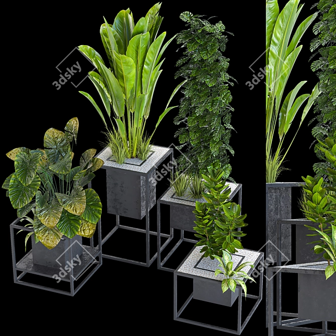 Variety Indoor/Outdoor Plant Collection 3D model image 5