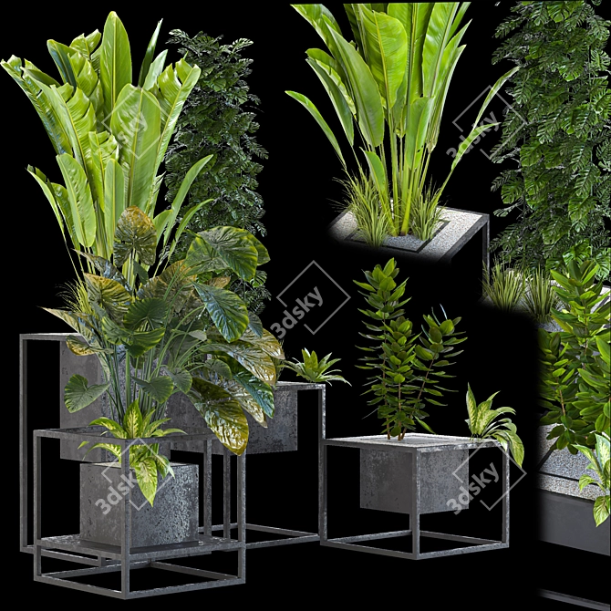 Variety Indoor/Outdoor Plant Collection 3D model image 6