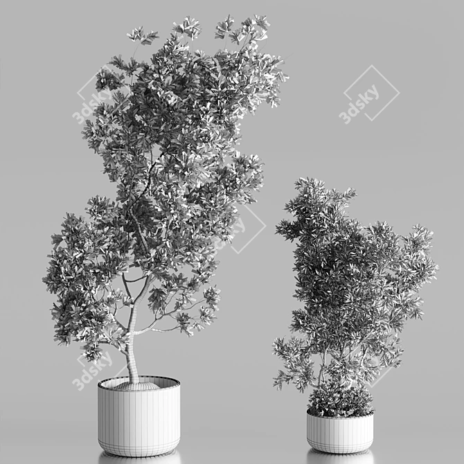 Elegant Olive Tree Set Oilve 3D model image 5