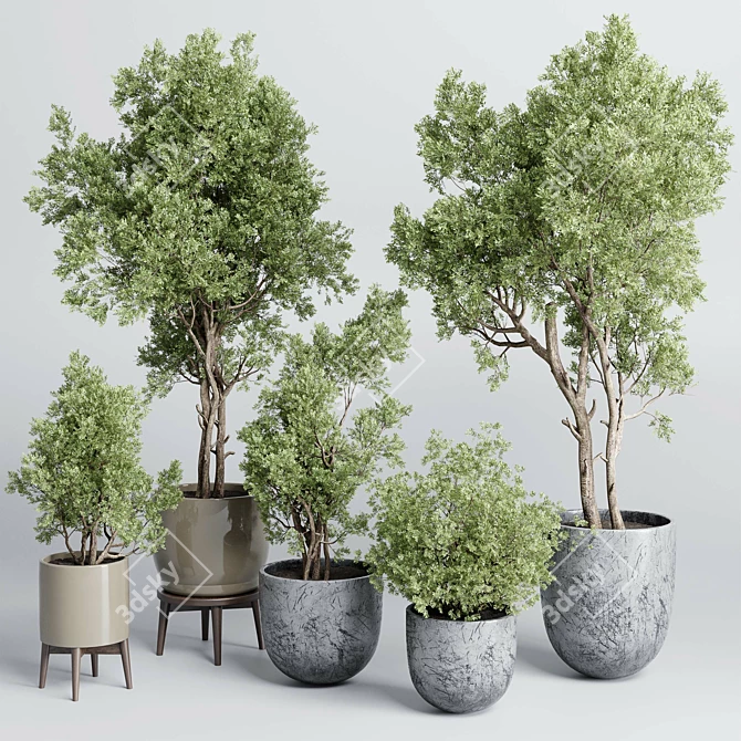 Vintage Concrete Vase Outdoor Trees 3D model image 1