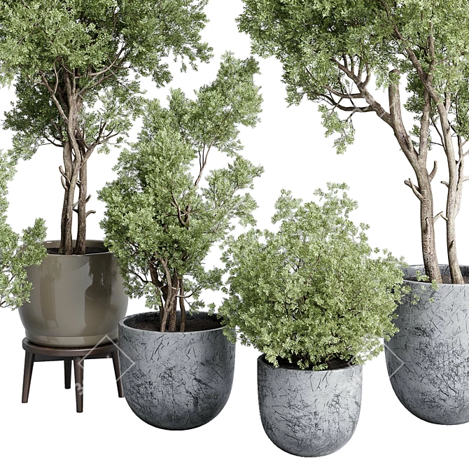 Vintage Concrete Vase Outdoor Trees 3D model image 6