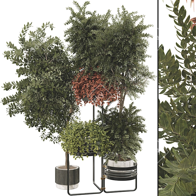 Modern Plant Collection with Shelf 3D model image 1