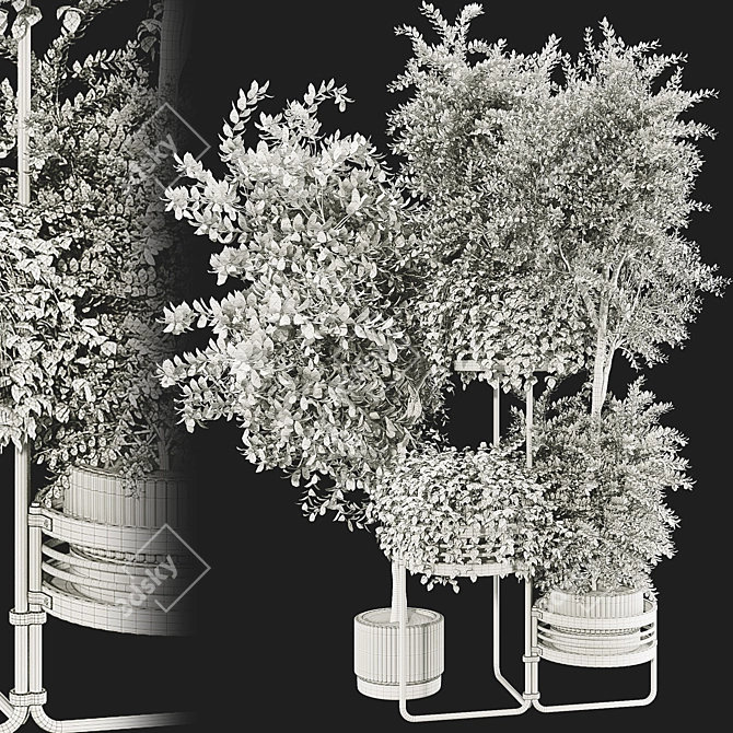 Modern Plant Collection with Shelf 3D model image 6