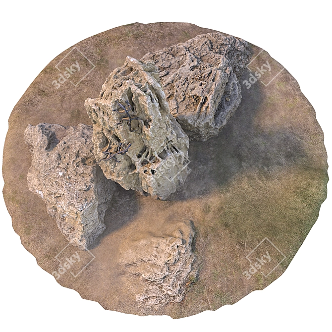  Lizard Stone Set with Grass 3D model image 3