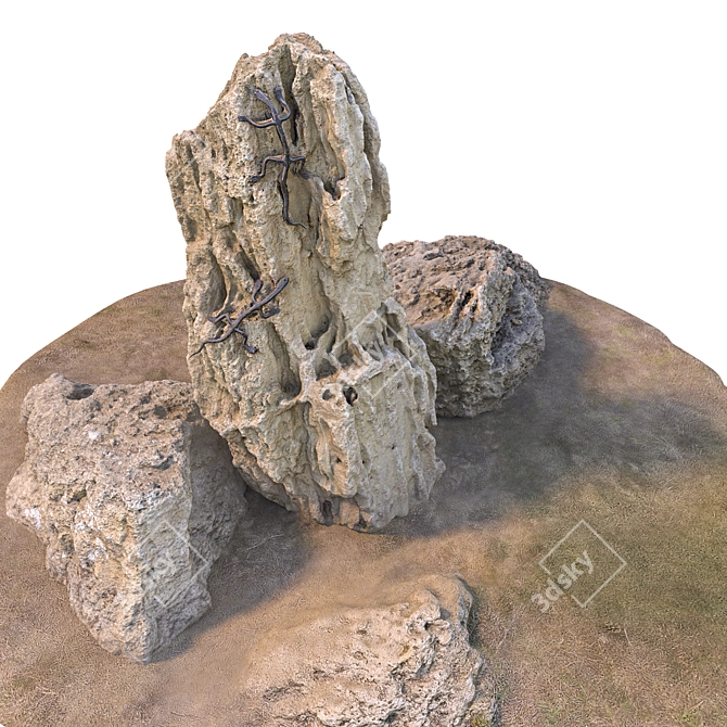  Lizard Stone Set with Grass 3D model image 4