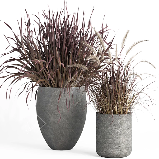 Plant007 Saabira Charcoal 3D Model 3D model image 2