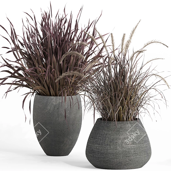 Plant007 Saabira Charcoal 3D Model 3D model image 3