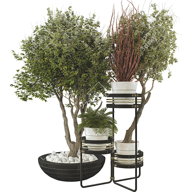 Modern Plant Set on Metal Shelf 3D model image 1