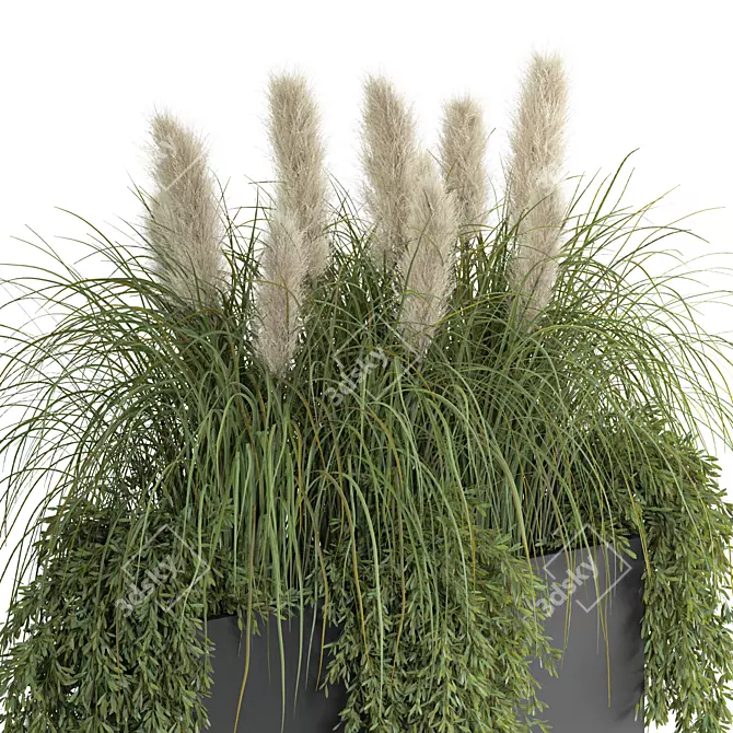 Pampas Grass Metal Planter Outdoor 3D model image 2