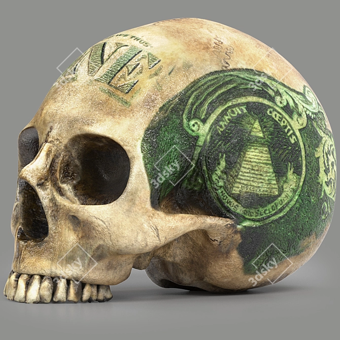 3D Skull Head Model: Render Ready 3D model image 2