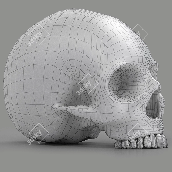 3D Skull Head Model: Render Ready 3D model image 6