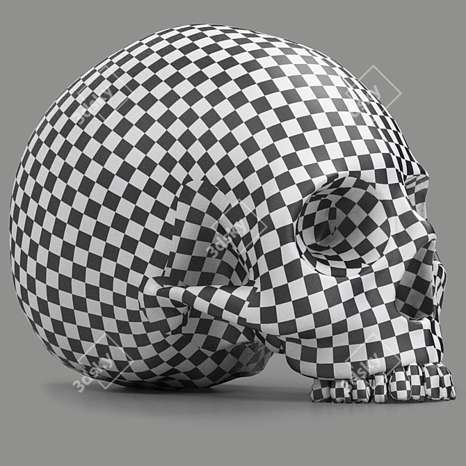 3D Skull Head Model: Render Ready 3D model image 7