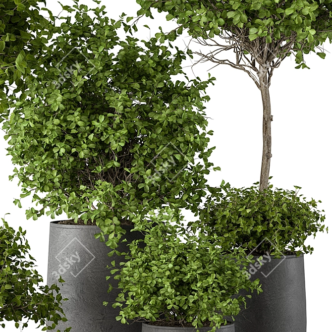 Urban Oasis Tree & Bush 3D model image 2