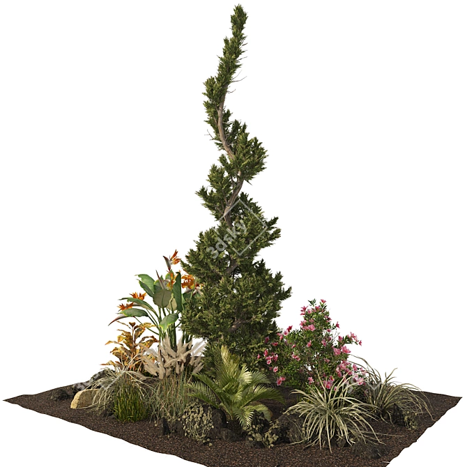 Rustic Garden Plant Collection 3D model image 4