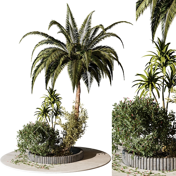 Outdoor Plant 211 - 2015 Edition 3D model image 1