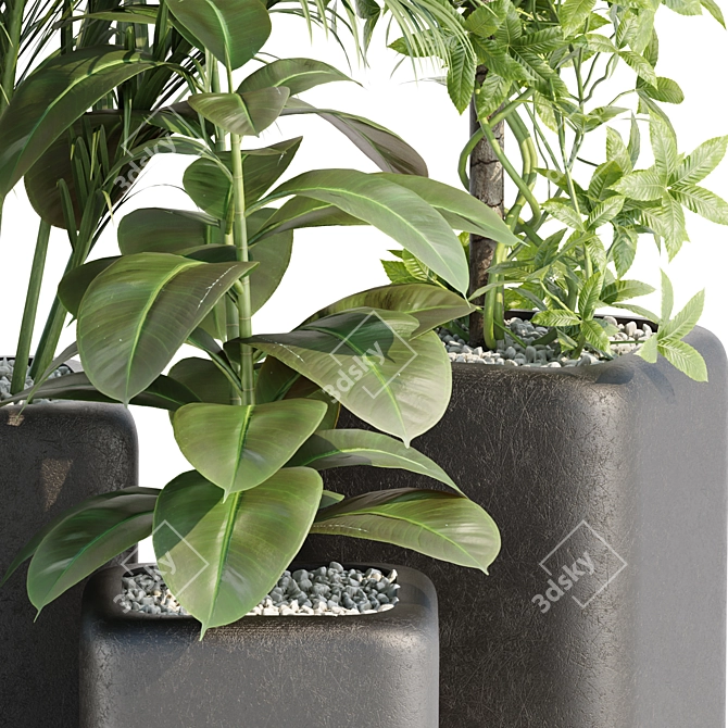  Rare Indoor Plants Collection Vol. 181 3D model image 5