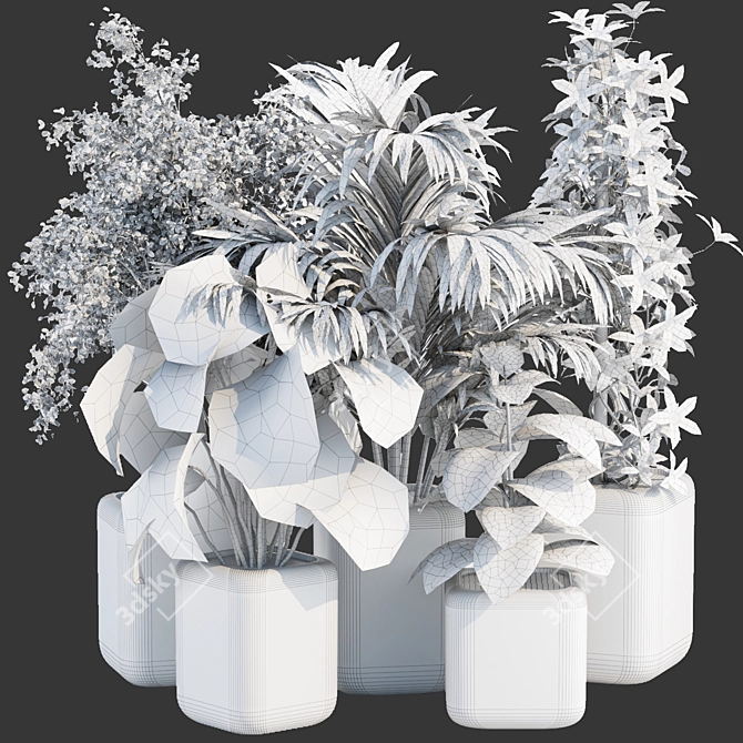  Rare Indoor Plants Collection Vol. 181 3D model image 6