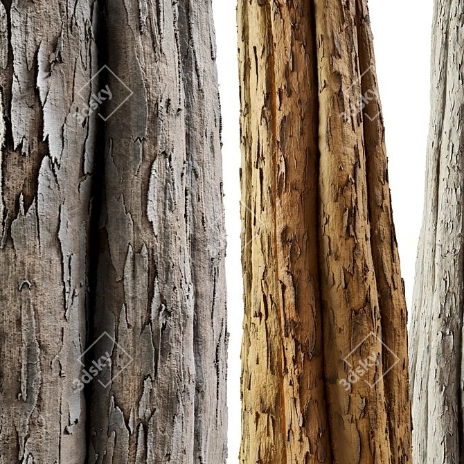 Substance Bark 03 Seamless Texture 3D model image 2