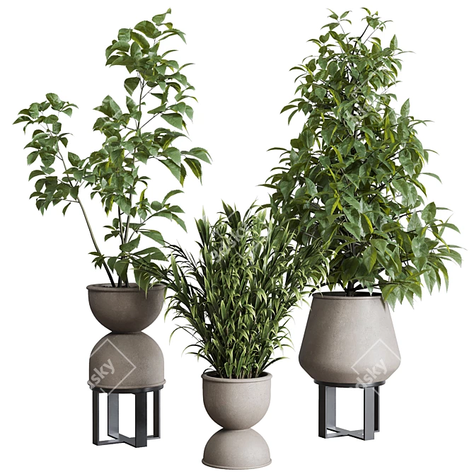 Green Oasis Ficus Palm Set 3D model image 1