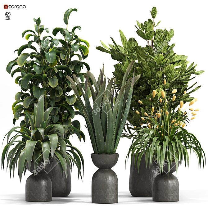 Botanica Set: Lush Indoor Greenery 3D model image 1