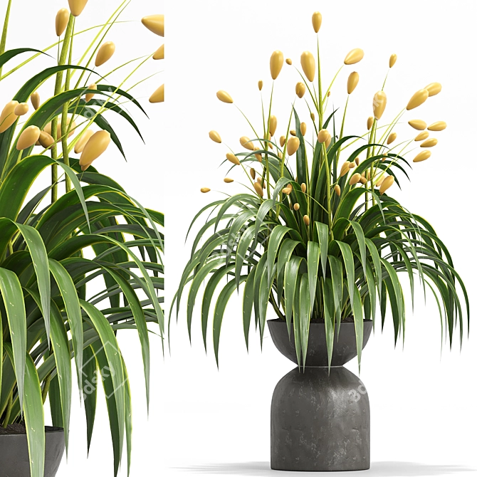 Botanica Set: Lush Indoor Greenery 3D model image 4