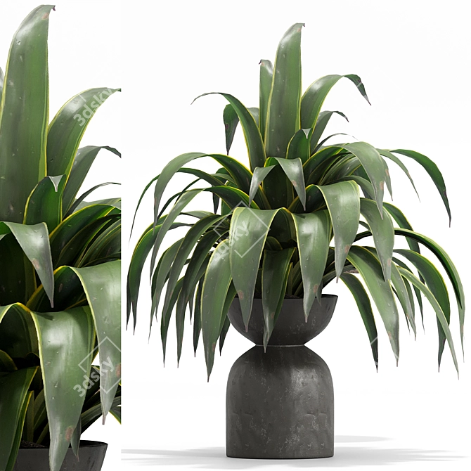 Botanica Set: Lush Indoor Greenery 3D model image 6