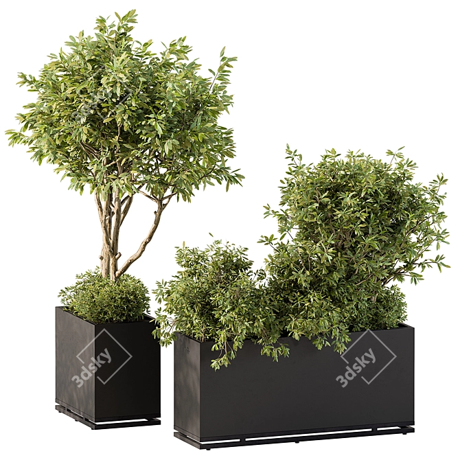 Outdoor Plants Collection Box 3D model image 1