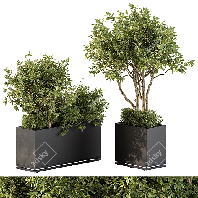 Outdoor Plants Collection Box 3D model image 2