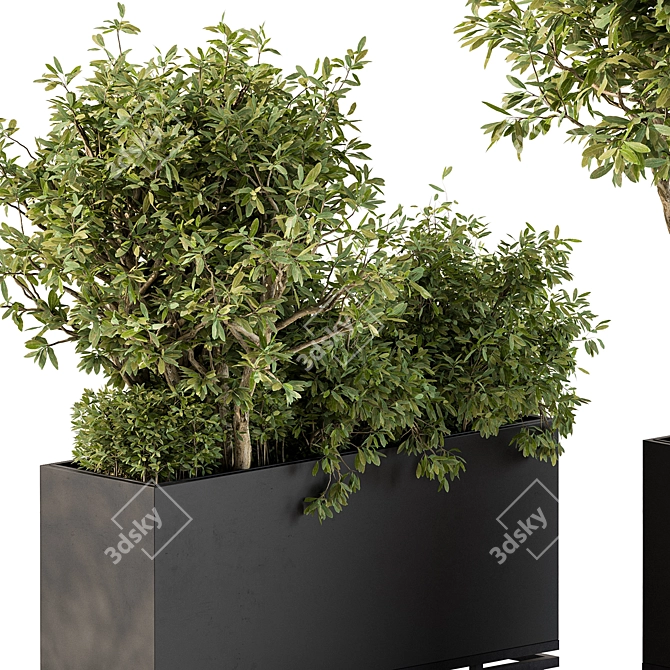 Outdoor Plants Collection Box 3D model image 4