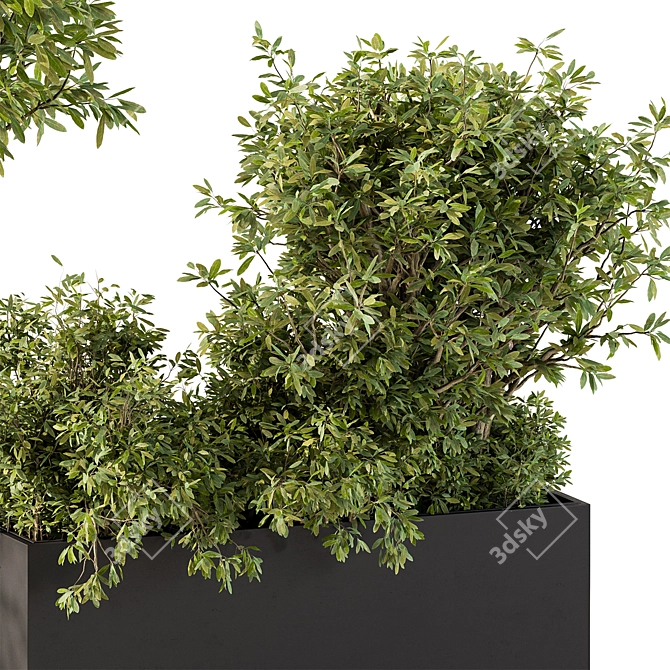 Outdoor Plants Collection Box 3D model image 5